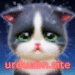 Kitten Match APK