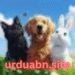 Pet World APK